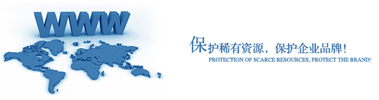 长沙域名注册公司