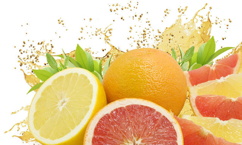 生鲜水果电商化?先迈过这三道坎 生鲜水果电商化?先迈过这三道坎