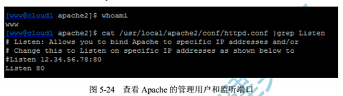【故障分析】apache启动失败