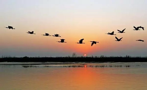 逃离北上广,你能去哪里?