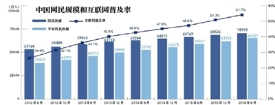 中国互联网发展统计报告